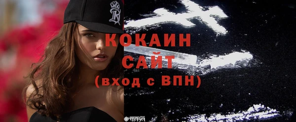 молекула духа Осинники