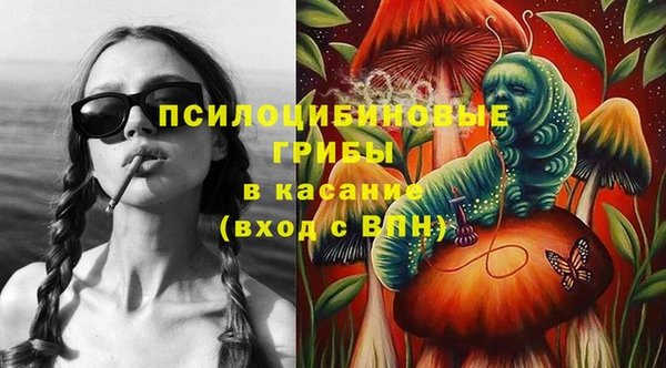 молекула духа Осинники