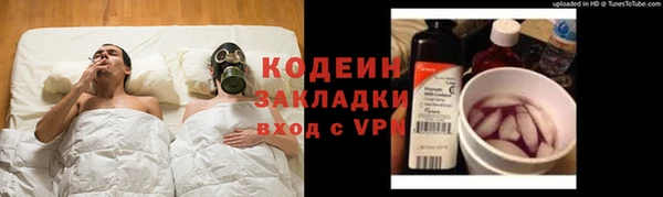 молекула духа Осинники