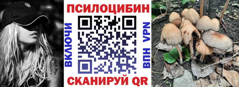 Галлюциногенные грибы Cubensis  Осташков 